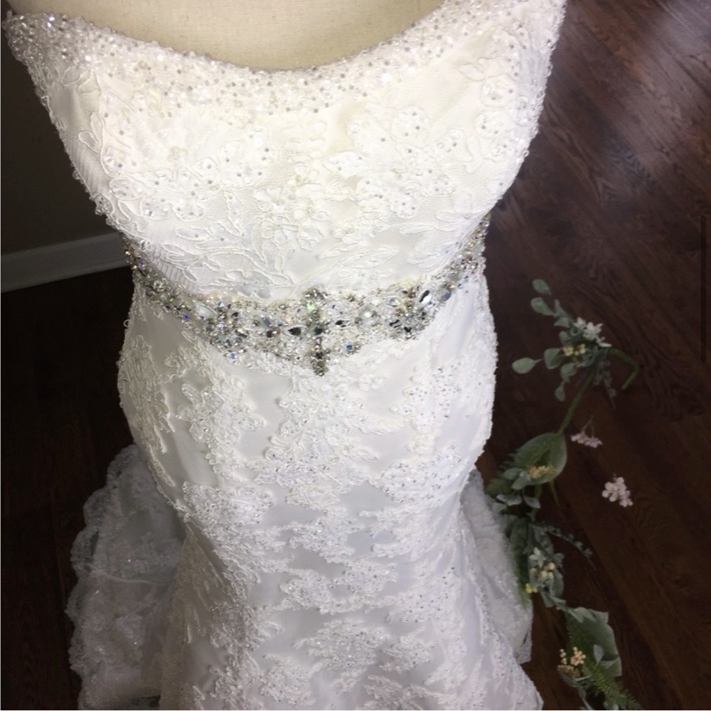 Gorgeous Wedding Dress - Picture 5 of 5